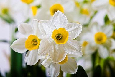 《咖啡物语》系列最新作《咖啡物语 东京》预告公布 将于2025年推出